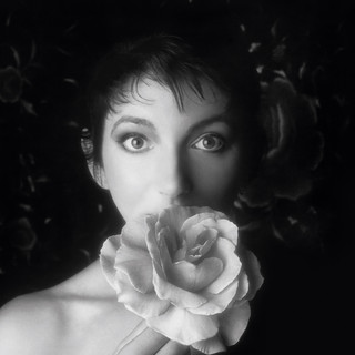 Kate Bush poster